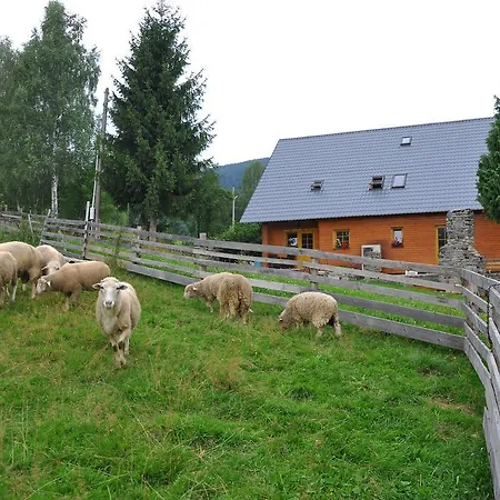 Apartmán Novy Svet